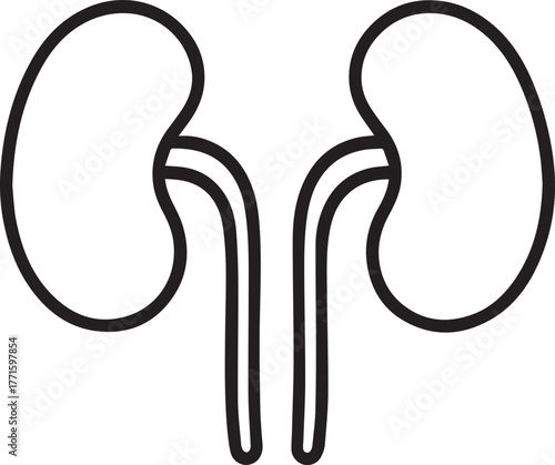 Kidneys and Collecting Ducts