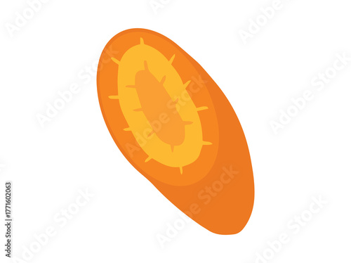 Chopping Carrot Sliced Clip Art
