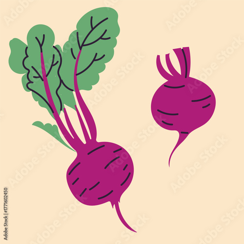 Hand-drawn beet in flat, doodle, minimalist style. Simple  design. Perfect for food packaging, kitchen prints, menus, and healthy 