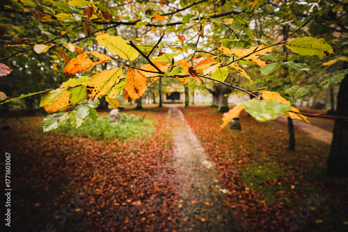 Caminando hacia el otoño