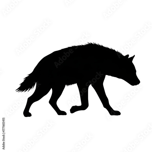 A silhouette of a hyena walking across a black background with its tail slightly raised in the air