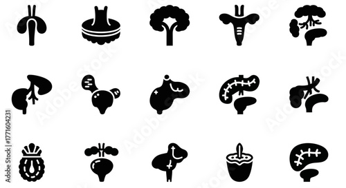 Set of minimalist glyph icons representing the human endocrine and nervous system organs