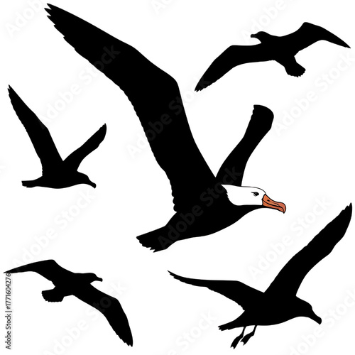 A graphic illustration of several birds in flight with a black background and white and orange accents