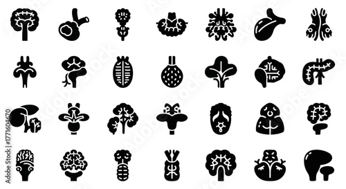 A unique and creative set of glyph icons representing human internal organs and anatomy for science and medicine
