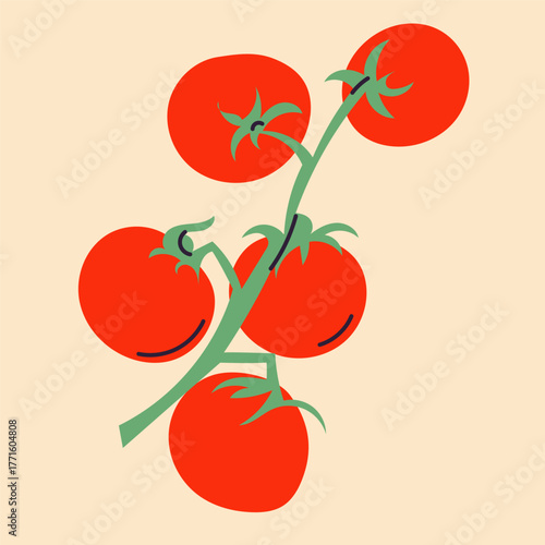 Vector illustration of tomatoes in flat, doodle, minimalist style. Simple hand-drawn food design with tomato fruits, slices, and branches. Perfect for kitchen decor, packaging, menus, and healthy food