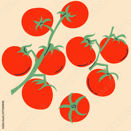Vector illustration of tomatoes in flat, doodle, minimalist style. Simple hand-drawn food design with tomato fruits, slices, and branches. Perfect for kitchen decor, packaging, menus, and healthy food