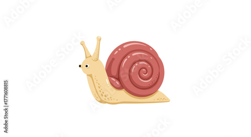 A charming cartoon snail with a light-colored body and a glossy reddish-brown spiral shell, looking ahead on a pristine white background.