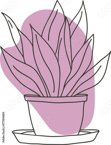Potted plant with pink abstract background houseplant