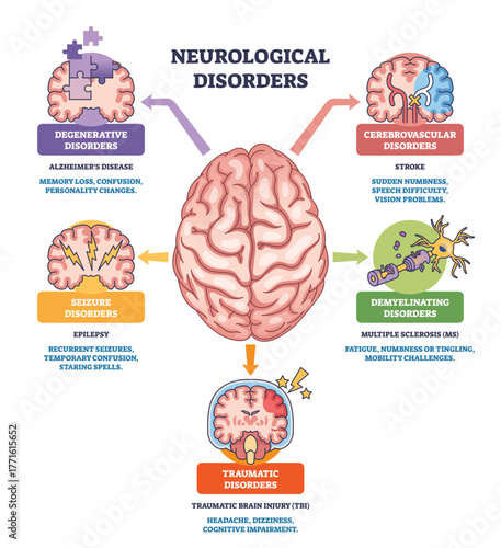 Neurological disorders brief diagram showing a central brain with arrows to stroke, epilepsy, MS, and TBI, key objects, brain, neuron, labels. Outline diagram