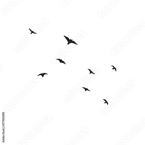 A graceful flock of birds taking flight dark silhouette