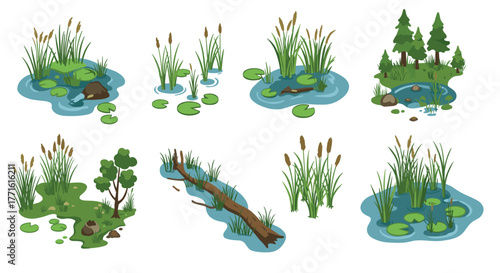 Isometric pond scenes with flora and trees for nature design projects
