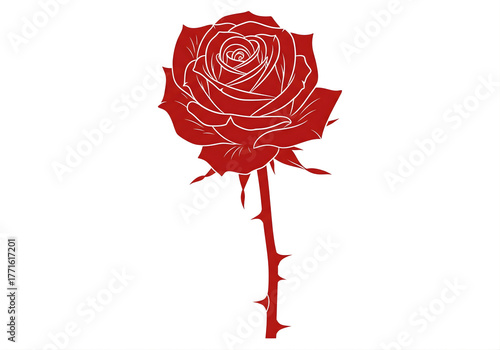 Elegant Rose in Full Bloom: A striking red rose, presented in exquisite detail against a pure background, represents passionate love and enduring beauty.