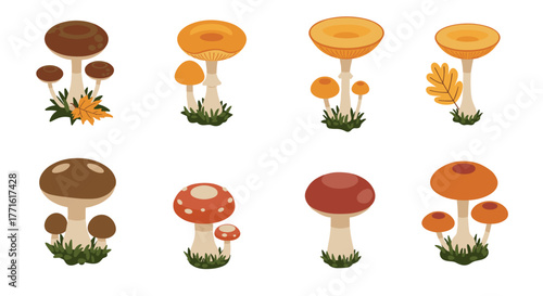 Colorful mushroom collection: cartoon forest fungi variety on white background