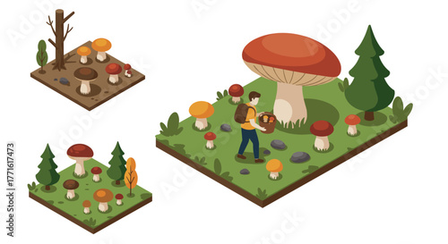 Isometric forest scene with mushrooms and trees featuring a hiker