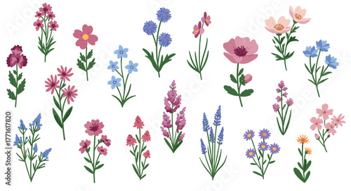 Collection of colorful wildflowers in a charming flat design style
