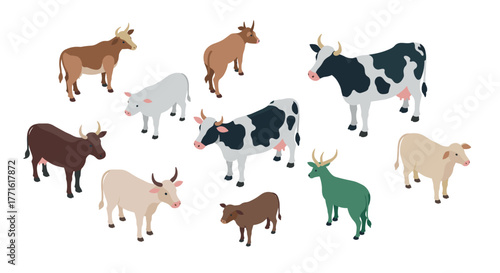 Isometric farm animals collection with cattle and bulls in various colors