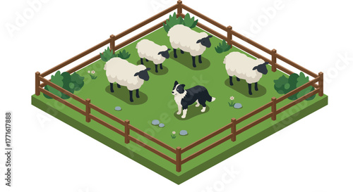Isometric pasture with border collie herding sheep in enclosed field