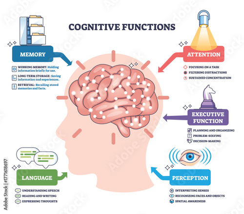 Cognitive functions brief overview showing a brain in a head silhouette with icons for memory, attention, language, perception, and executive function, mapping how the mind works. Outline diagram