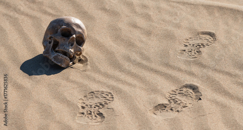 A dummy of a human skull lies on the sand in the desert