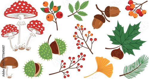 Collection of autumn elements including mushrooms, acorns, berries, and leaves