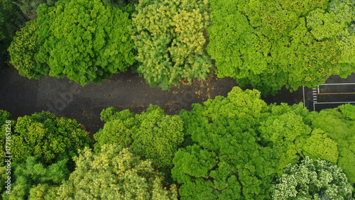 Drone top-down shot of a road crossing through a den