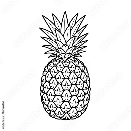 vector illustration of pineapple