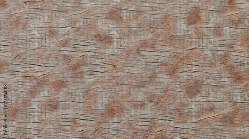 Looping video of natural wooden textures — oak, pine, and rustic planks. Perfect wood background for design, 3D, and video projects.