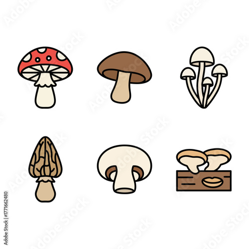 A diverse collection of colorful mushroom icons, featuring various fungi species like fly agaric, morel, and champignon in a simple illustrated style