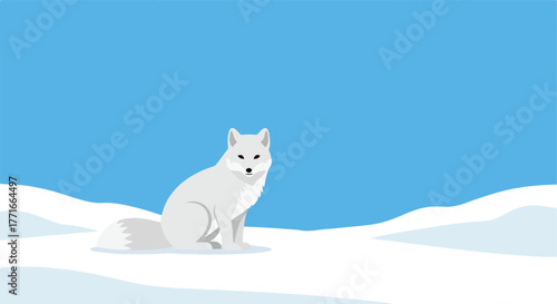 Arctic fox sitting in snow
