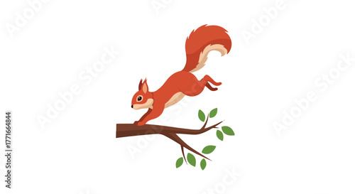 Red squirrel leaping from tree branch
