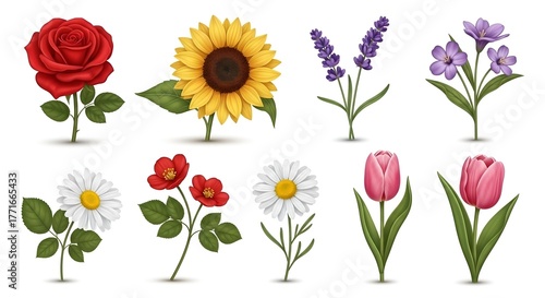 Realistic icons of different types of flowers on a white background