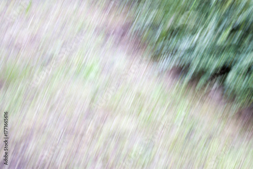 Oblique blurring of bushes and grass.