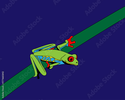 A brightly colored red-eyed tree frog perches on the trunk of a tropical tree. Illustration graphic design.