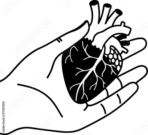 Human heart held in open palm, black and white outline anatomical organ, cardiology, medical care, life support, health concept