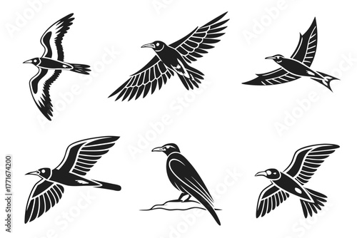 Minimalist inca tern bird icons set black and yellow