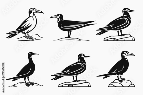 Minimalist inca tern bird icon set in black and white