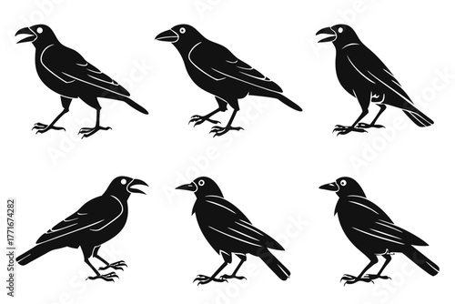 Minimalist jackdaw bird icon set with black and yellow accents
