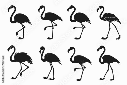 Flat style flamingo icons set minimal design