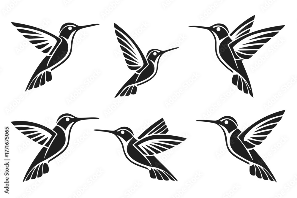Obraz premium Geometric hummingbird icons set minimalist design
