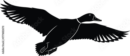 Flying duck silhouette with open wings, bird wildlife illustration, black and white nature design, detailed feather pattern, CAD drawing flat vector illustration