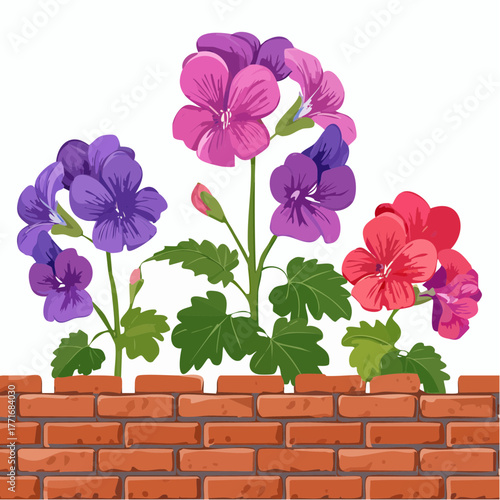 Beautiful flowerpot houseplant vector illustration concept
1