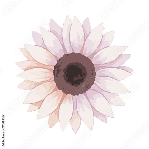 sunflower vector illustration design