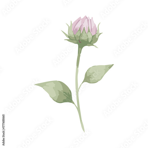 sunflower vector illustration design