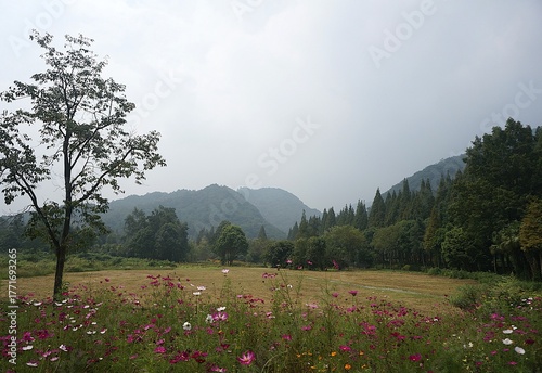 autumn in the mountains
