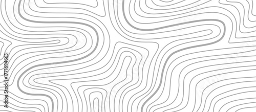 topographic contour background. contour lines background. Topographic map background. abstract wavy background. Topographic map contour background.