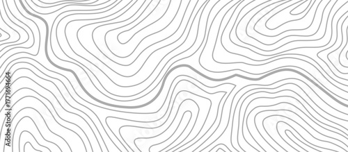 topographic contour background. contour lines background. Topographic map background. abstract wavy background. Topographic map contour background.