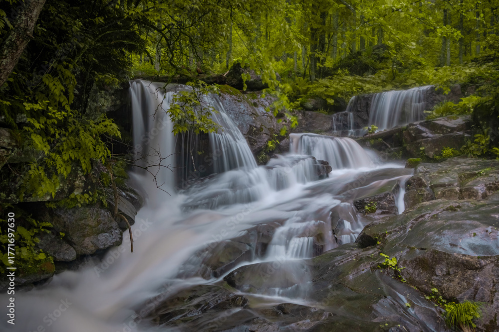 Fototapeta premium riwer