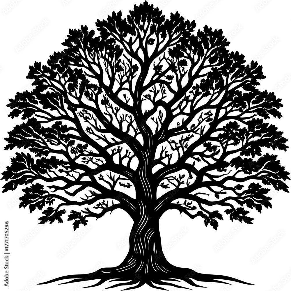 Fototapeta premium Detailed silhouette of a majestic oak tree with intricate branches and roots scalable vector illustration