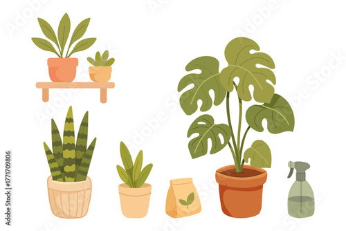 Home plant set with monstera, succulents, sansevieria and gardening tools in flat vector style