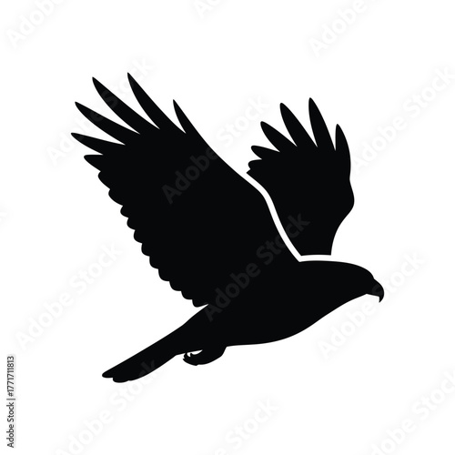 Majestic black hawk silhouette soaring in flight powerful raptor wings spread wide dynamic action